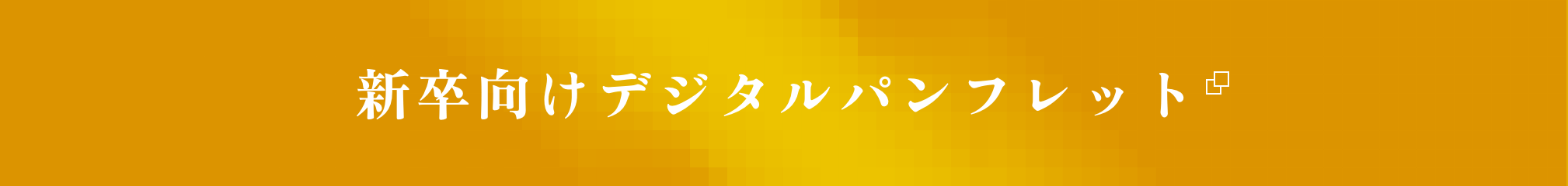 新卒向けデジタルパンフレット