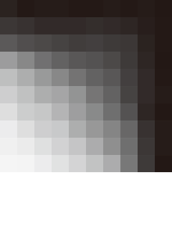 ZEAL