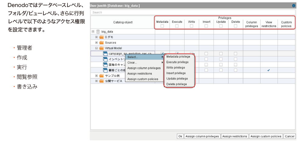 ユーザに対するアクセス権限により、Denodoは利便性とセキュリティの両方を実現する